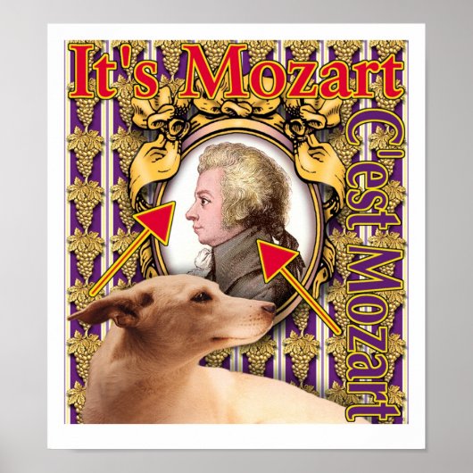 Poster C'est Mozart (Devant)