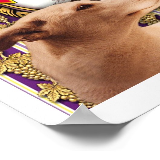 Poster C'est Mozart (Coin)