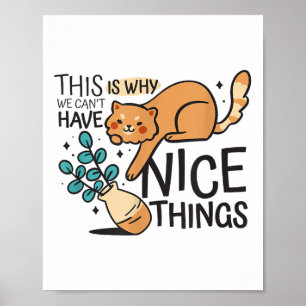 Poster C'est Pour Ça Qu'on Ne Peut Pas Avoir De Jolies Ch