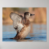 Poster C'est un Flapper (Devant)