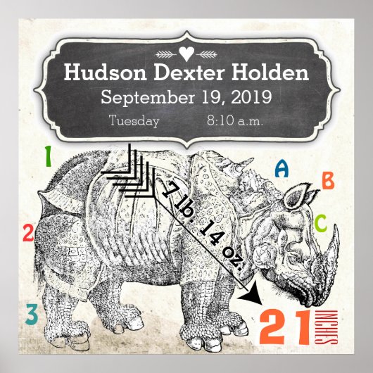 Poster C'est un garçon ! Nouveau rhinocéros bébé (Devant)