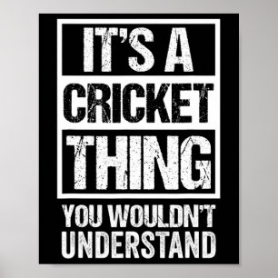 Poster C'est une chose de cricket que vous ne comprendrie
