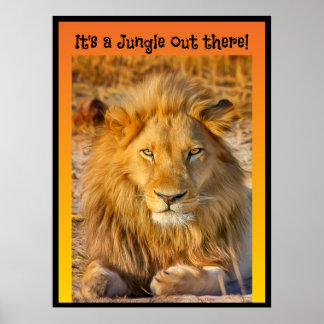 Poster C'est une Jungle là-bas !
