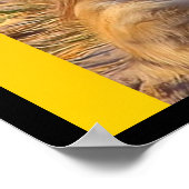 Poster C'est une Jungle là-bas ! (Coin)