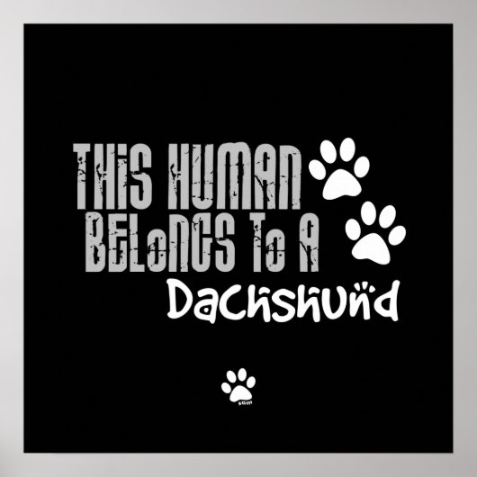 Poster Cet être humain appartient à un Dachshund (Devant)