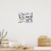 Poster Cétacée Edentata (Cuisine)