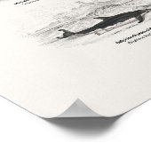 Poster Cétacés - Bibliothèque du naturaliste (Coin)