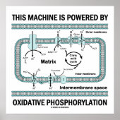 Poster Cette Machine Alimentée Par La Phosphylation Oxida (Devant)