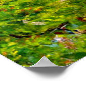 Poster Cezanne - Bras de la Jeufosse (Coin)