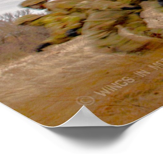 POSTER CH-47F CHINOOK (Coin)