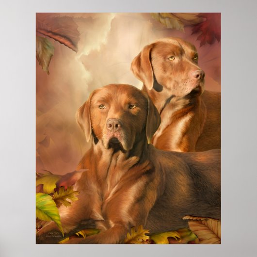 Poster Cha Cha - L'affiche d'art du laboratoire de chocol (Devant)