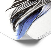 Poster Chaffinch coloré 2011 (Coin)