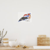 Poster Chaffinch coloré 2011 (Cuisine)