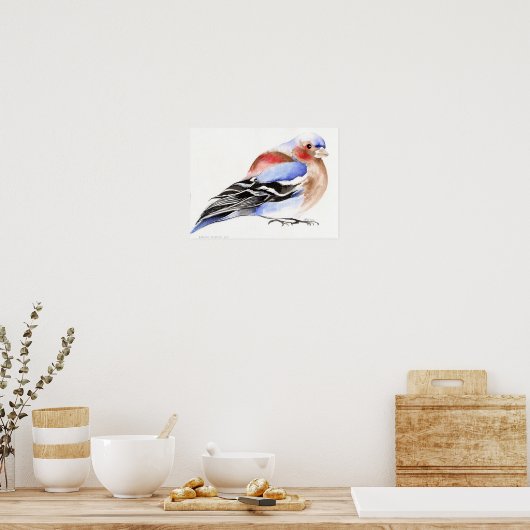 Poster Chaffinch coloré 2011 (Cuisine)