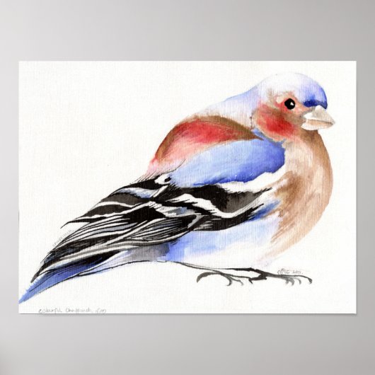 Poster Chaffinch coloré 2011 (Devant)