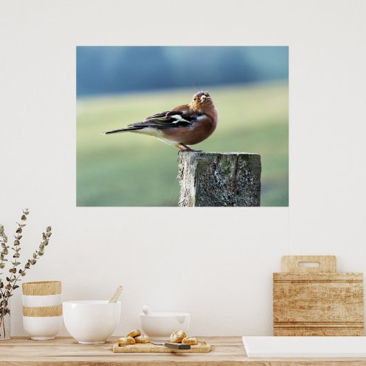 POSTER CHAFFINY (Cuisine)