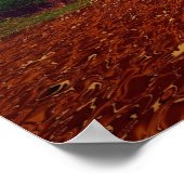 Poster Chaîne temporelle de 500 millions d'années (Coin)