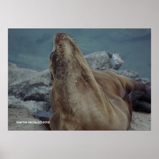 Poster Chaîne vers le haut (Devant)