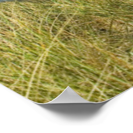 Poster Chaises Adirondack dans les Dunes (Coin)