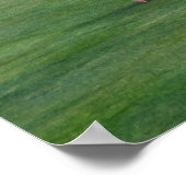 Poster Chaises Ocean Course, île de Kiawah, Caroline du S (Coin)