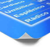 Poster Chakras e suas Relações (Hoek)