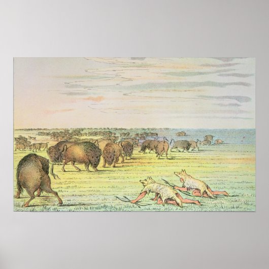 Poster Chaleur de buffle (Devant)