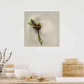 Poster chaleur du printemps (Cuisine)