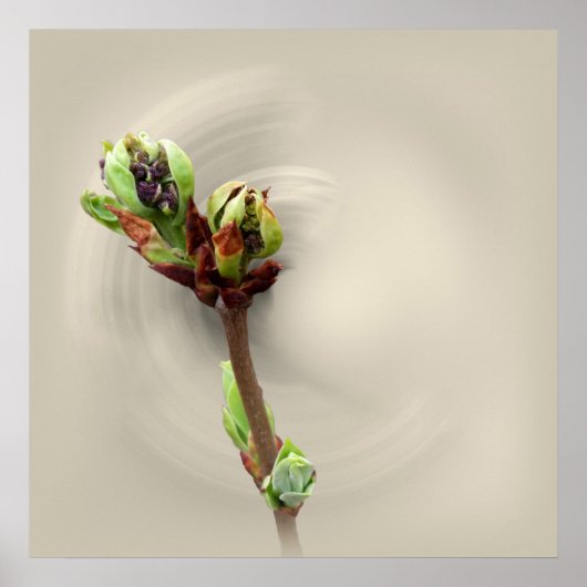 Poster chaleur du printemps (Devant)