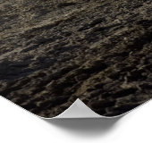 Poster Challenger II (Coin)