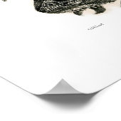 Poster Chamaeleon monachus (Coin)