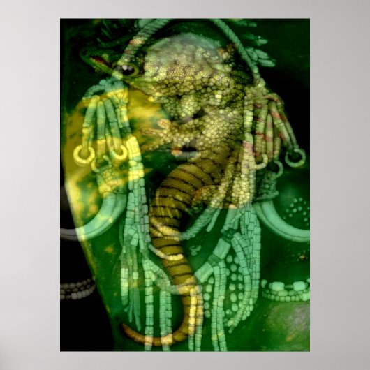 Poster Chaman reptilien 2 (Devant)