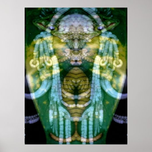 Poster Chaman Reptilien 3 (Devant)