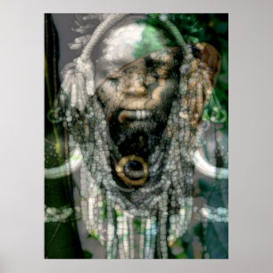 Poster Chaman reptilien 5