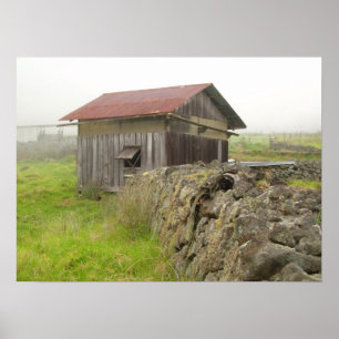 Poster Chambre de Paniolo