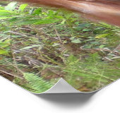 Poster Chambre d'enfant Rester à l'écart Confidentialité (Coin)