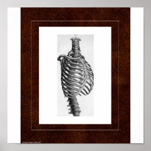 Poster Chambre d'esprit de nervure