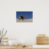Poster chameau (Cuisine)