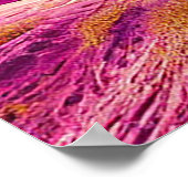 Poster Chameau sur désert rose (Coin)