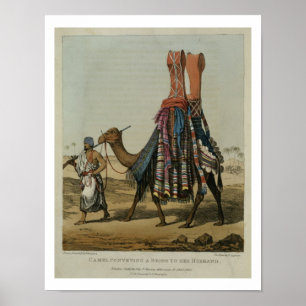 Poster Chameau transportant une jeune mariée à son mari,