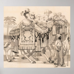 Poster Chameaux Marchant Habillés En Costume
