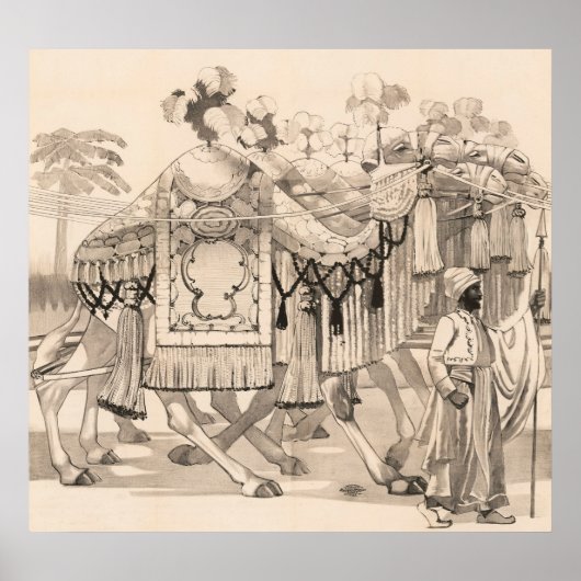 Poster Chameaux Marchant Habillés En Costume (Devant)