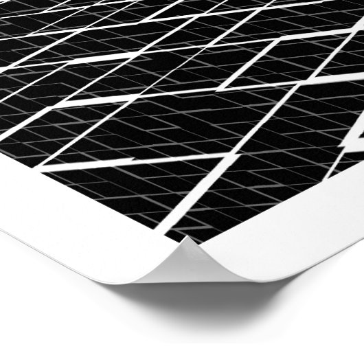 Poster Chamelea (Coin)