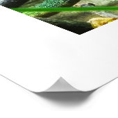 Poster Chameleon (Coin)