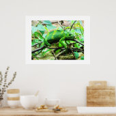 Poster Chameleon (Cuisine)