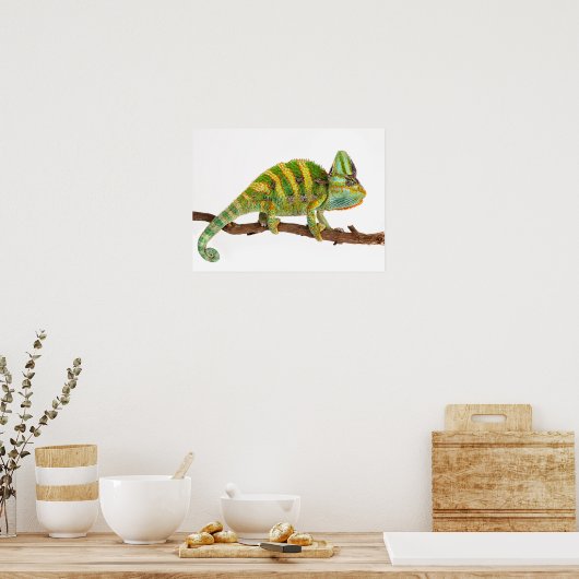 Poster Chameleon (Cuisine)