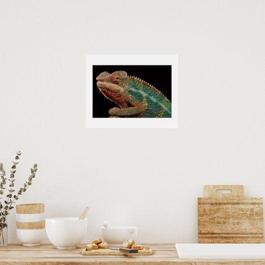Poster Chameleon (Cuisine)