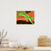 Poster Chameleon 1 (Cuisine)