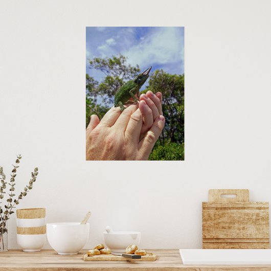 Poster Chameleon de Jackson (Cuisine)