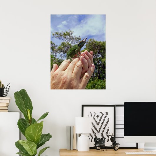 Poster Chameleon de Jackson (Bureau à domicile)