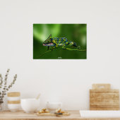 Poster Chaméléon de Johannes (Cuisine)